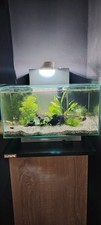 Acquario mobile usato  Santena
