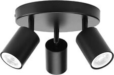 Lampada soffitto con usato  Chivasso