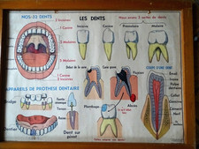 Ancienne affiche scolaire d'occasion  Ossun