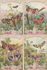 Liebig s555 cards d'occasion  Expédié en Belgium