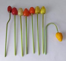 Long stem tulips for sale  UK