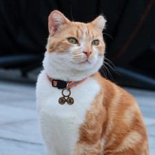 Pcs décoration suspendue d'occasion Pcs décoration suspendue d'occasion  Expédié en France