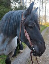 Exklusiv qhp westerntrense gebraucht kaufen  Hammelburg