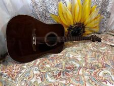 Fender newporter vintage for sale  Georgetown
