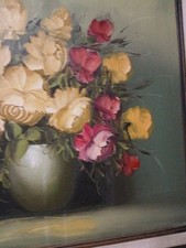 Roses for sale  Oxnard