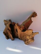 Bogwood aquariums fish for sale  RAMSGATE