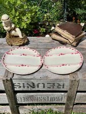 Assiettes compartiments sarreg d'occasion  Villeneuve-la-Guyard