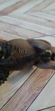 Vintage retired schleich for sale  Lincoln