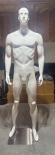 torso stand male mannequin for sale  Buford