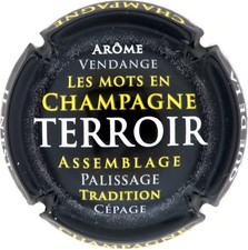 Génériques mots champagne d'occasion Génériques mots champagne d'occasion  Pogny