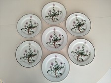 Villeroy boch botanica d'occasion  L'Isle-sur-la-Sorgue