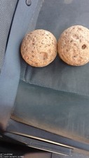 Antiche coppie palle usato  Foggia