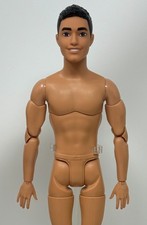 Boneca Barbie Fashionistas #236 Feita para Mover Corpo Híbrida NUA Latina Ken Hispânica, usado comprar usado  Enviando para Brazil