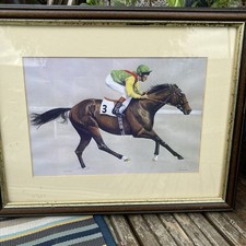 Nijinsky horse racing for sale  CAERNARFON