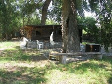 Bungalow palinuro affitto usato  Centola