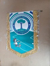Gagliardetto pennant calcio usato  Casandrino