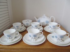 Vintage wedgwood ice for sale  LEIGHTON BUZZARD