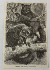 1885 book engraving for sale  Wilmington