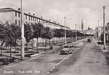 Grosseto viale della usato  Roma