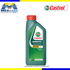 Litro castrol magnatec usato  Casoria