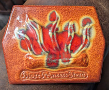 wood burning insert for sale  Billings