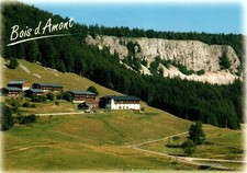 Bois amont roche d'occasion  Pontailler-sur-Saône