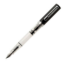 Twsbi eco fountain usato  Spedire a Italy
