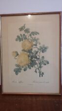 Ancienne gravure encadree d'occasion  Hyères