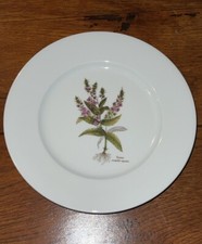 Rare assiette plante d'occasion  Rennes-