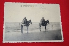 Oostduinkerke bains pecheurs d'occasion  Hénin-Beaumont