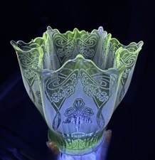 Victorian uranium glass for sale  CLEVEDON