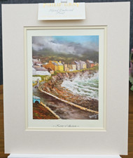 Philip gray kerry for sale  KIDDERMINSTER