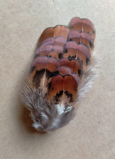 Fly tying native for sale  UK