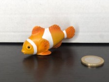 Anemone clownfisch bully gebraucht kaufen  Bad Bergzabern