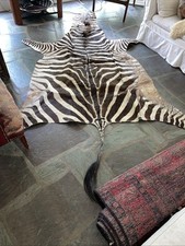 Antique zebra rug for sale  Charleston
