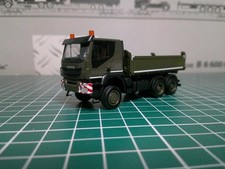 Iveco trakker 6x6 gebraucht kaufen  Bruchsal