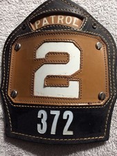 843 fdny vintage for sale  Bath