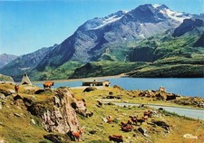Col mont cenis d'occasion  Expédié en Belgium