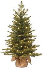 National tree company for sale  Brentwood