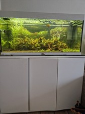 Aquarium aquatlantis weiß gebraucht kaufen  Monheim