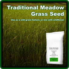 Traditional meadow grass for sale Traditional meadow grass for sale  DARLINGTON