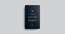 Esv concise study for sale  UK