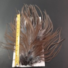 hackle for sale hackle for sale Boiling Springs