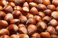 Freshly harvested american for sale  Montezuma
