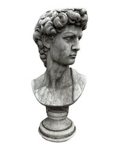Bust david sculpture for sale  NEWARK
