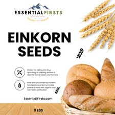 Organic einkorn wheat for sale  Layton