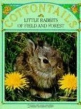 Cottontails little rabbits for sale  Montgomery