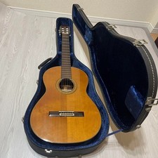 Chitarra acustica ryoji usato  Spedire a Italy