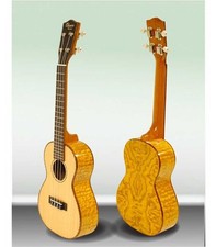 ukulele martin c1k d'occasion ukulele martin c1k d'occasion Paris VIII