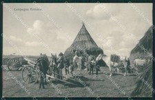 Roma città campagna usato  Gambolo